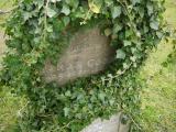 image of grave number 696344